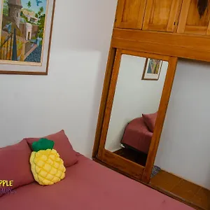  Apartment Pineapple Hospitality Puerto Rico